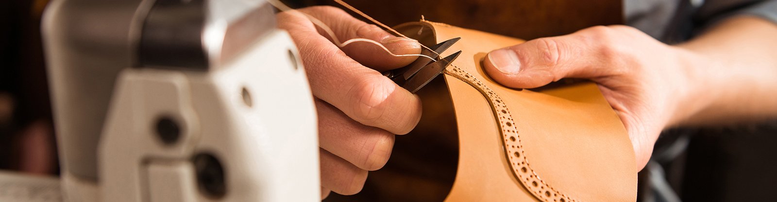 Tanneries & Leather Units